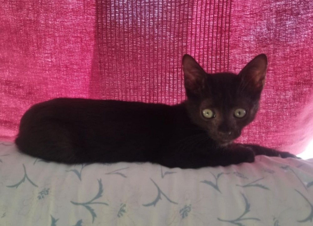 Lili